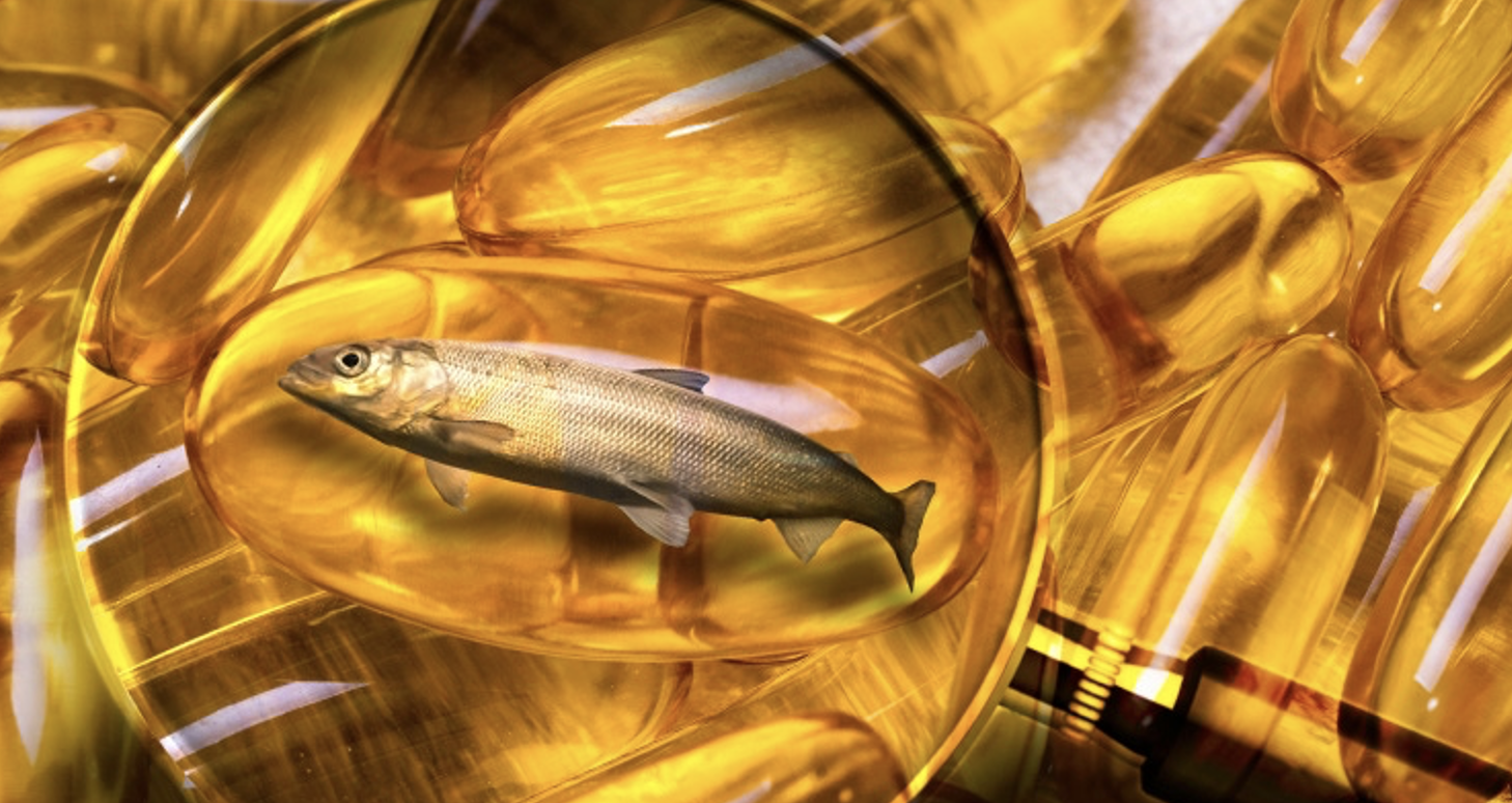 魚油怎麼吃最有效？醫師、營養師都這樣吃，6大關鍵功效一次到位！